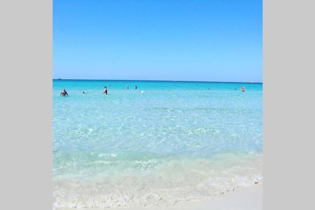 Designer Apartment Lecce Zewnętrze zdjęcie
